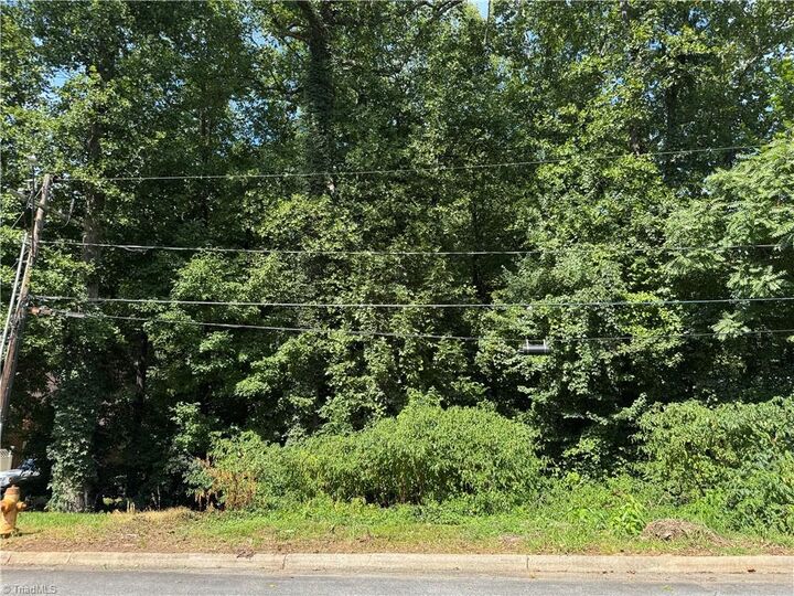 Property Photo: 0 Dilworth Street NC 27101