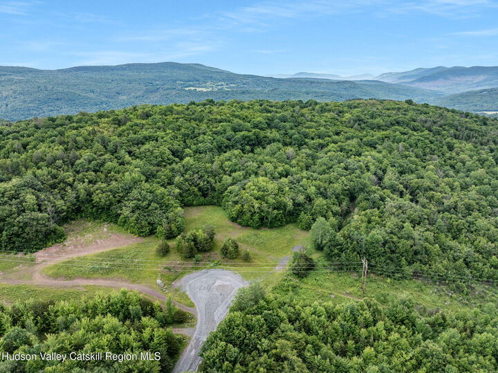 Property Photo: L36 Overlook NY 12452