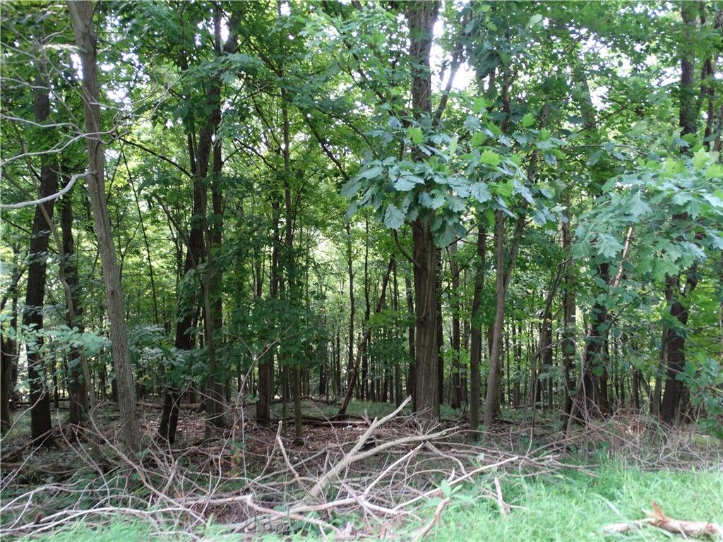 Property Photo:  00 & 02 Moscow Rd  PA 15311 