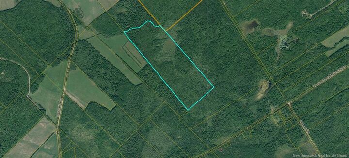 Property Photo:  Lot Douglas Road  NB E4V 3E3 