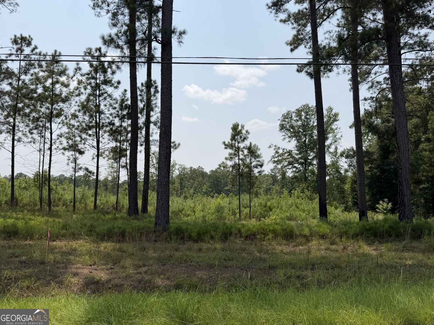 Property Photo: 1136 Giles Road GA 31029