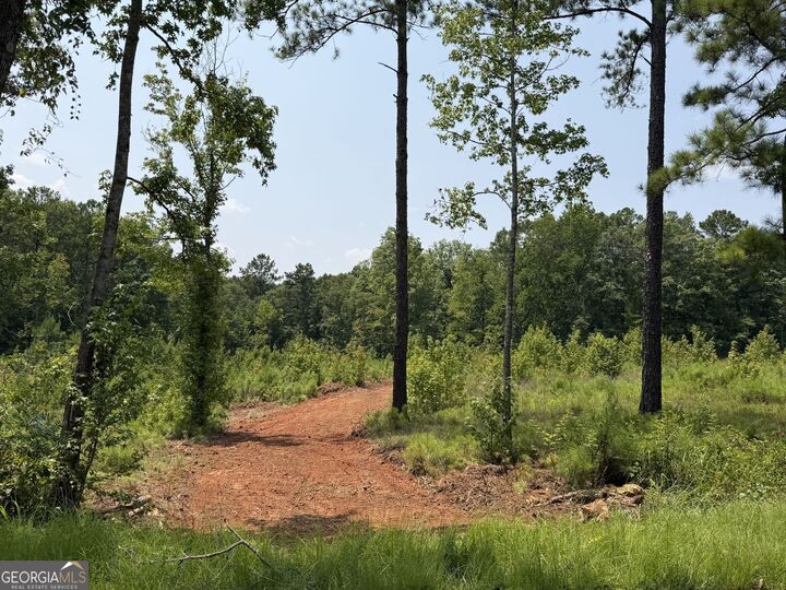 Property Photo: 734 Giles Road GA 31029