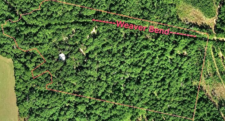 Property Photo:  4499 Weaver Bend Road  TX 75949 
