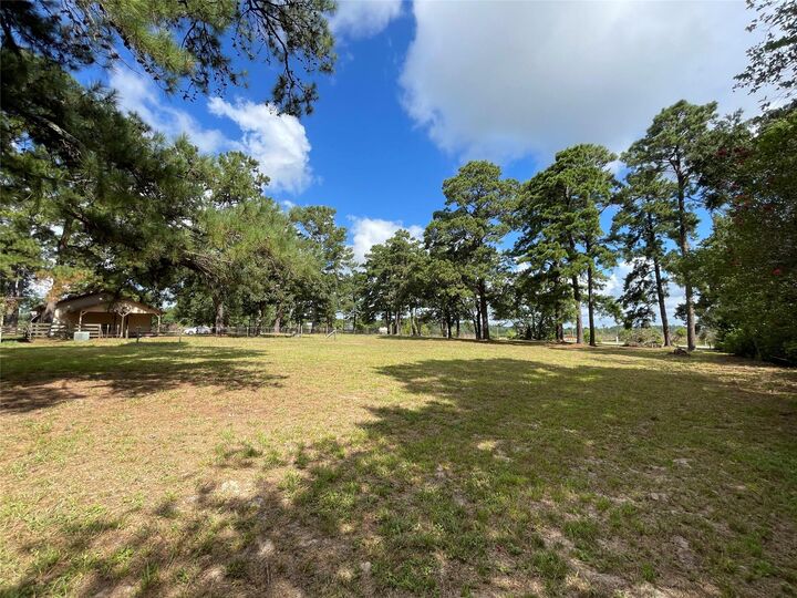 Property Photo: 19435 Keenan Cut Off Road TX 77316