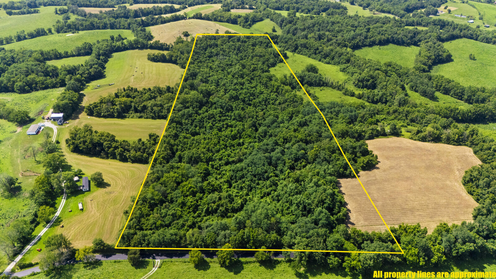 Property Photo:  223B Plum Lick Road  KY 40361 