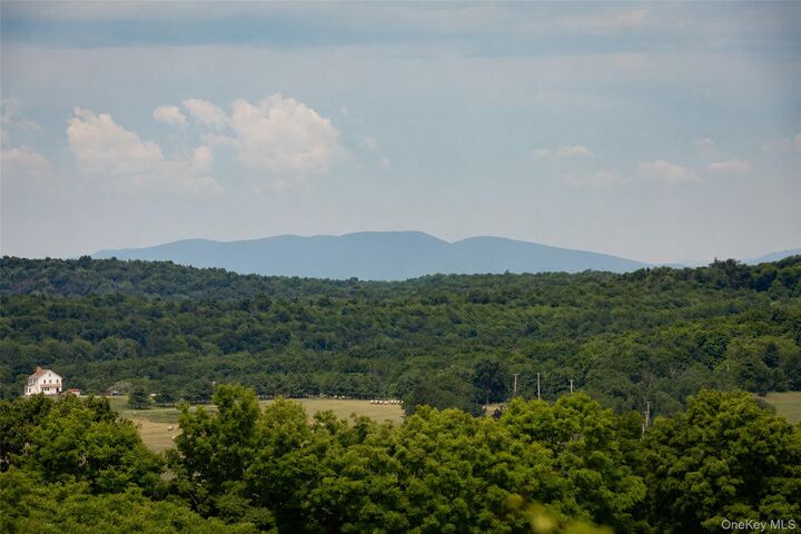 Property Photo:  88 Top Of The Hill Lane  NY 12581 