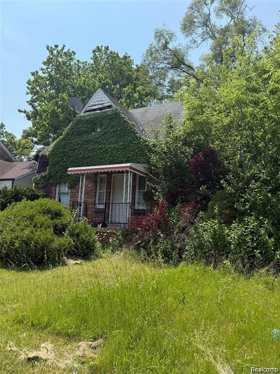 Property Photo:  20057 Hanna Street  MI 48203 1287 