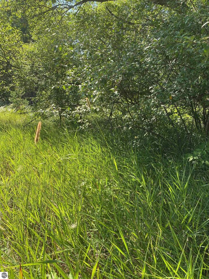 Property Photo:  6274 SW Friendship Lane  MI 49633 