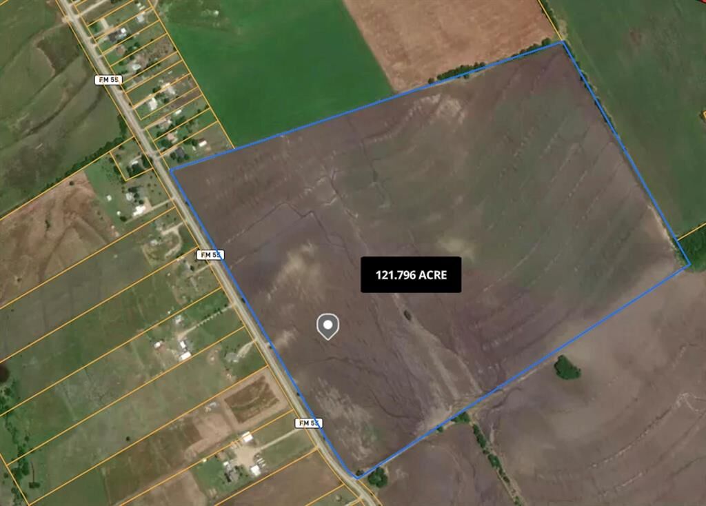 Property Photo:  121.797ac Fm-55  TX 75165 