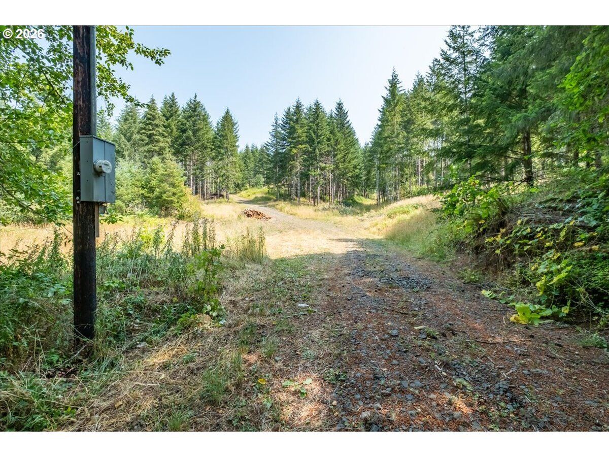 Property Photo: 41662 Grover Rd OR 97326