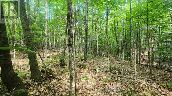 Property Photo:  00 Canaan Road  ON K7V 3Z4 