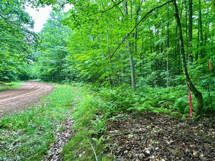 Property Photo: Lot 4 Crane Foot Lake Road WI 54435