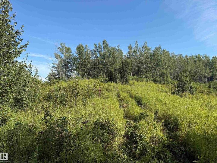Property Photo:  RR 224 & Twp Rd 510  AB T8C 1H1 