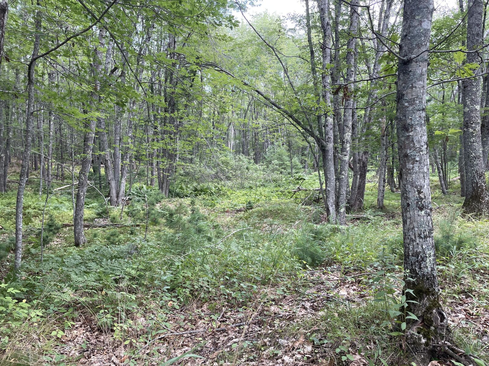 Property Photo:  M3 L27-6 Arrowsic Road  ME 04530 