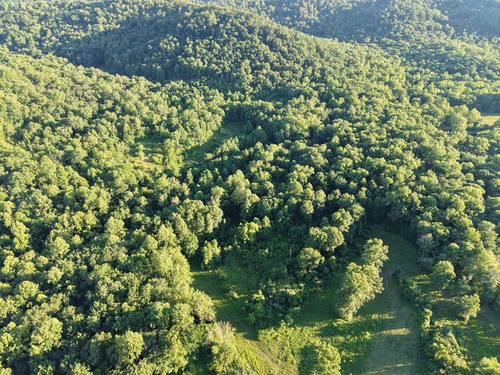 Property Photo:  2319 Beechy Creek Road  KY 41189 