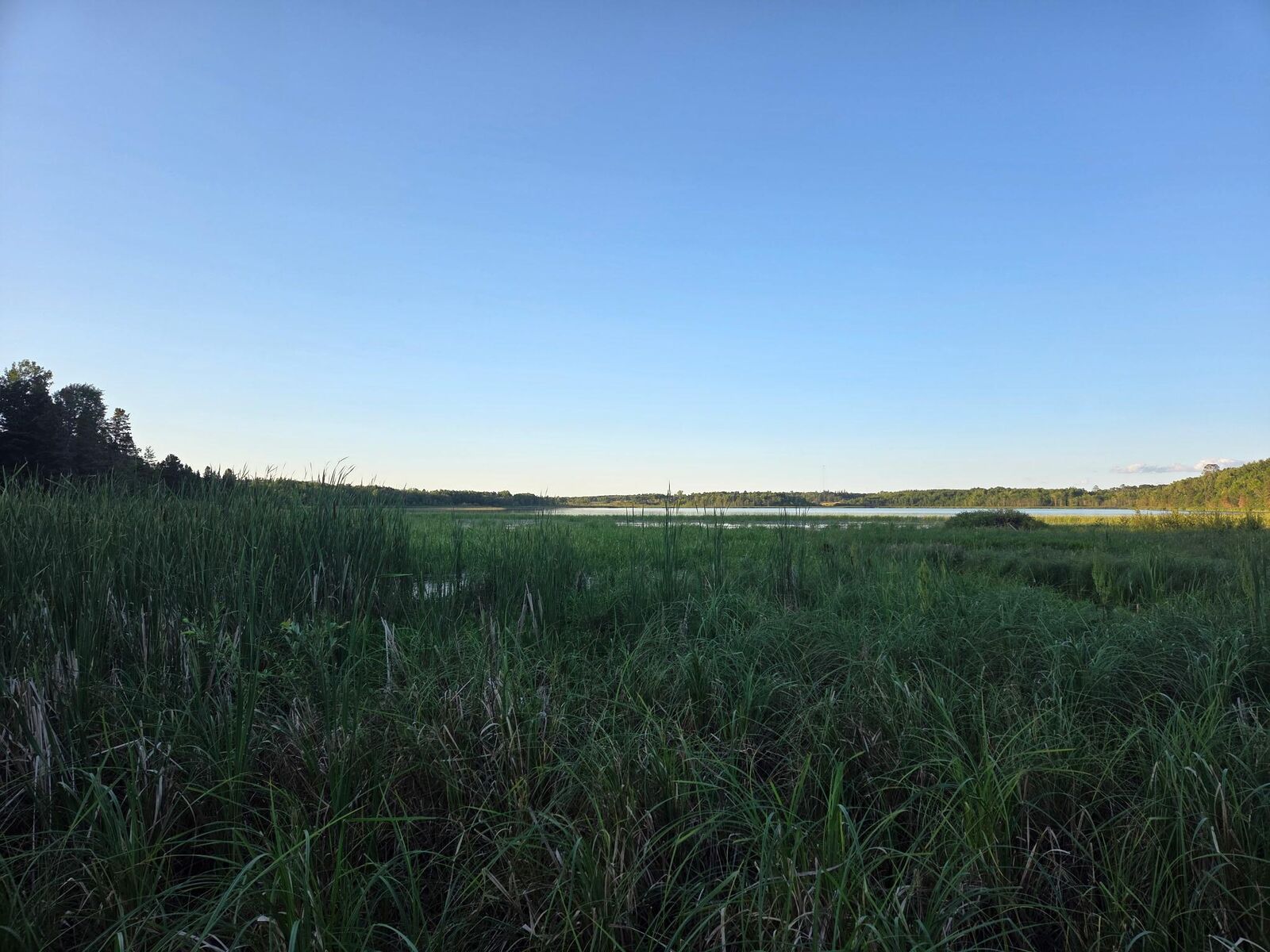 Property Photo:  Tbd (Lot 2) 190th Street  MN 56621 