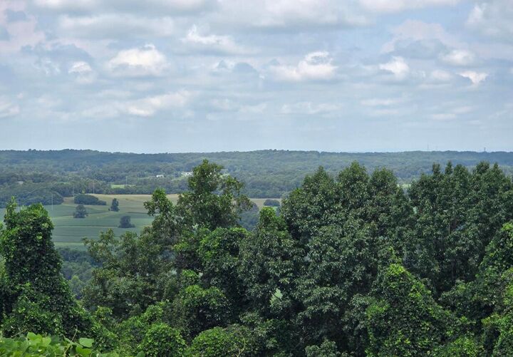 Property Photo:  