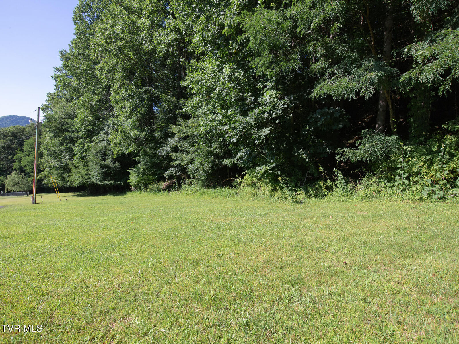 Property Photo: 117 Buckner Drive TN 37687