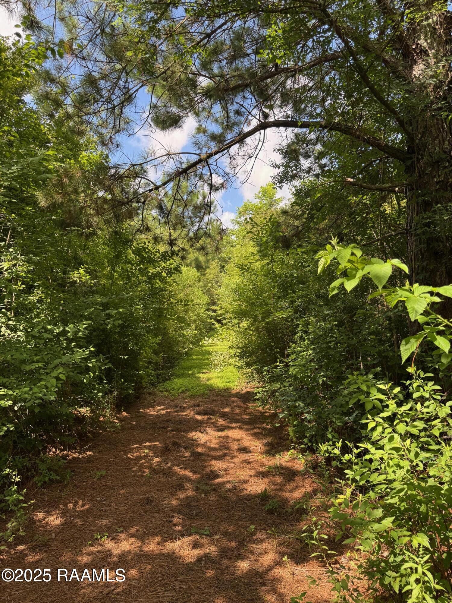 Property Photo:  Tbd Lot 4 Frozard Road 4  LA 70512 