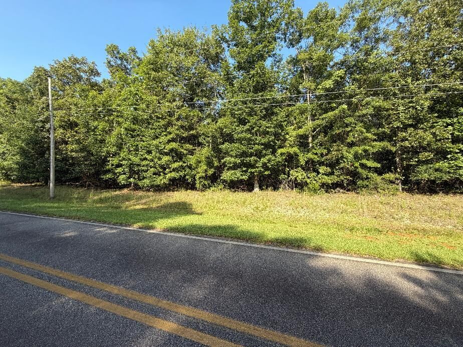 Property Photo:  0 W Rock Hill Drive  GA 31709 