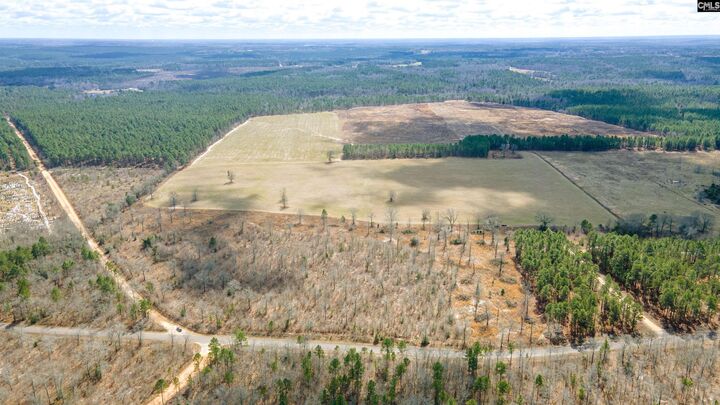 Property Photo:  Tbd Browns Pond  SC 29164-0000 