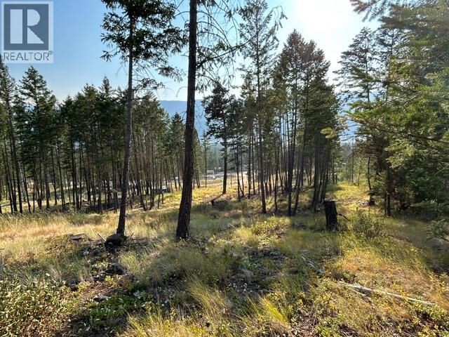 Property Photo:  Lot 12 Csokony Road  BC V0A 1E0 