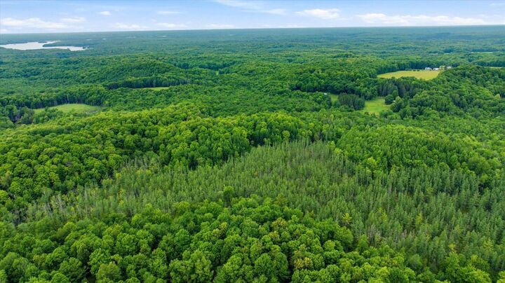 Property Photo:  018-00101-0000 Brush Creek Road  WI 54451 
