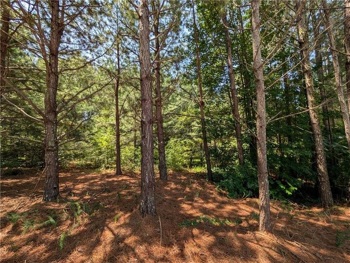 Property Photo:  0 Brookmont Parkway  GA 30135 