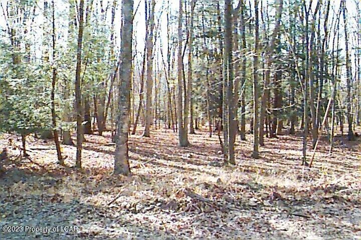 Property Photo:  Aw Lot 114 Arapahoe Lane  PA 18202 