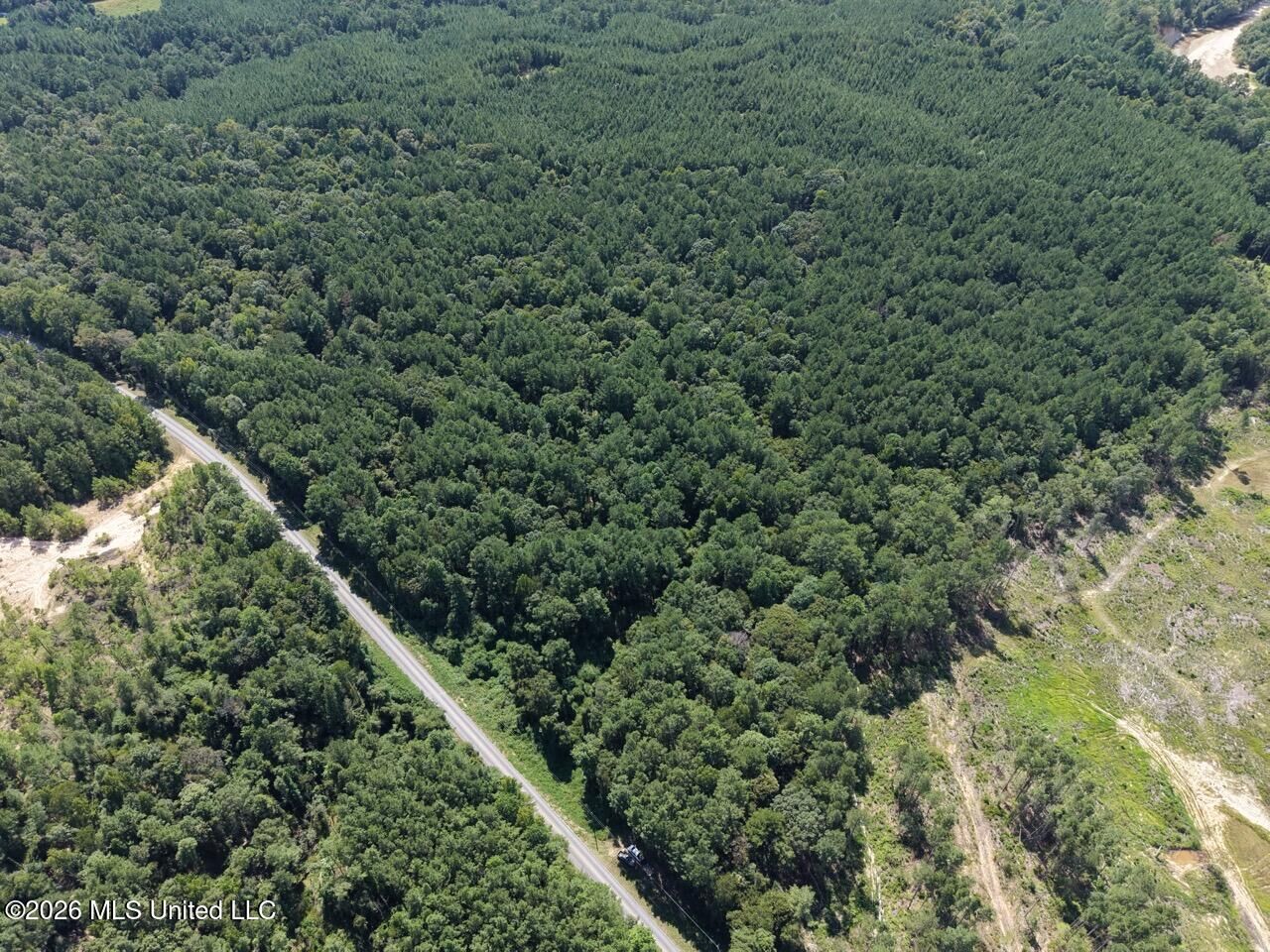 Property Photo: 1669 Burt Jordan Road MS 39653