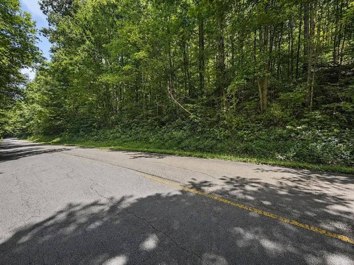Property Photo: 0 Johnson Valley Road TN 37846