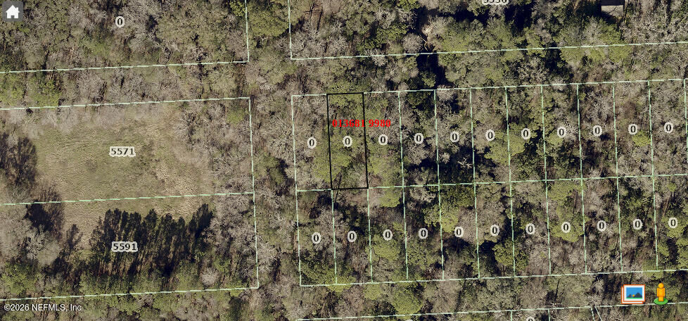 Property Photo: 0 Hewitt Street FL 32244