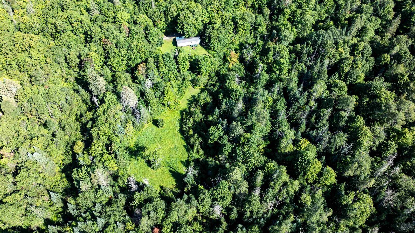 Property Photo: 142 Hines Place Trail VT 05836
