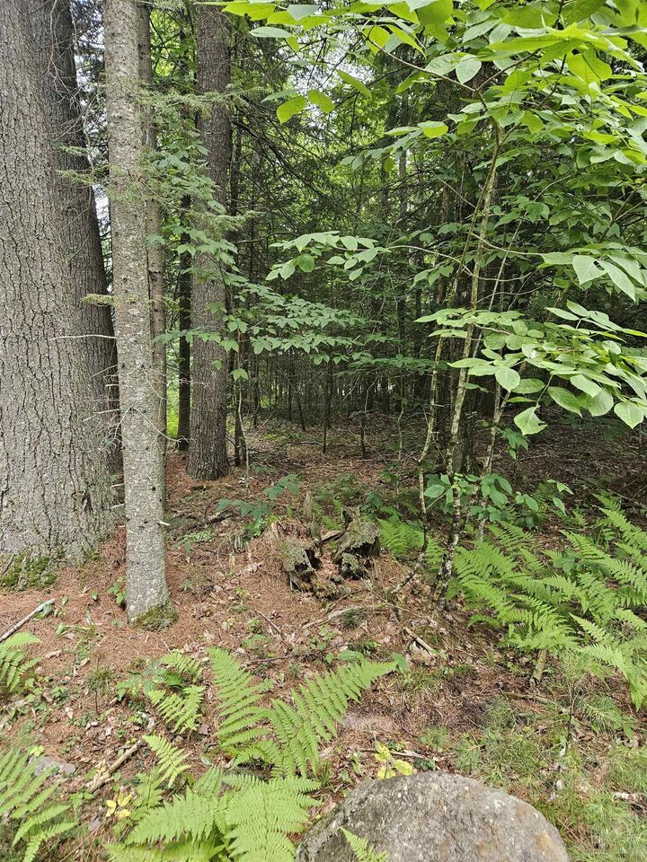 Property Photo:  00 Straford Drive  NH 03785 