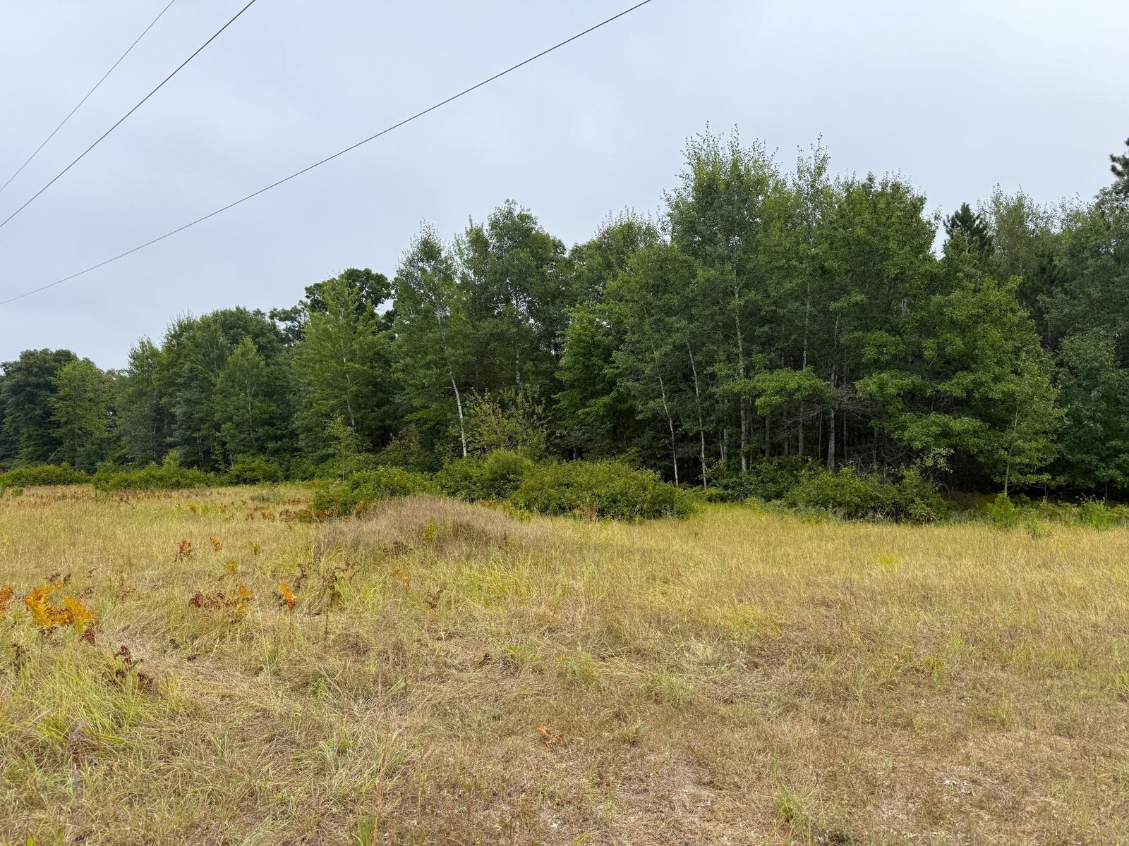 Property Photo: 10082 Legionville Road MN 56401