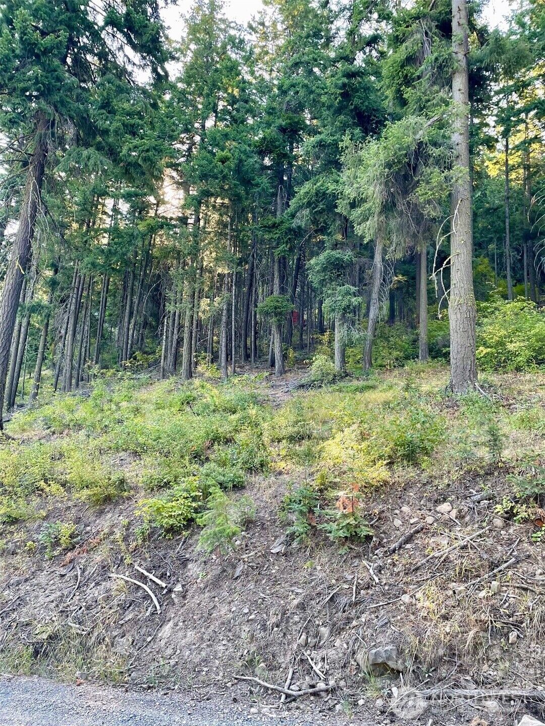Property Photo:  1290  Rodeo Road  WA 98922 