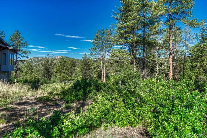 Property Photo:  1205 Wildcat Bend Court  CO 80108 