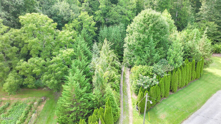 Property Photo:  985 Tennessee 31  TN 37811 