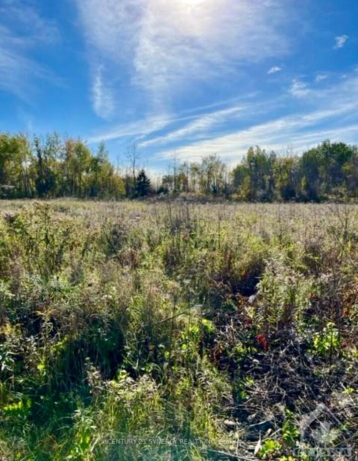 25 Honey Bee Grove — photo 1