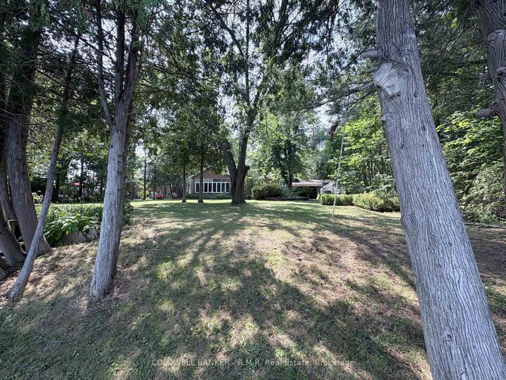 60 Pinewood Boulevard — photo 1