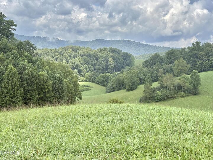 Property Photo: Lot 9 W Of Dry Hill Road TN 37640