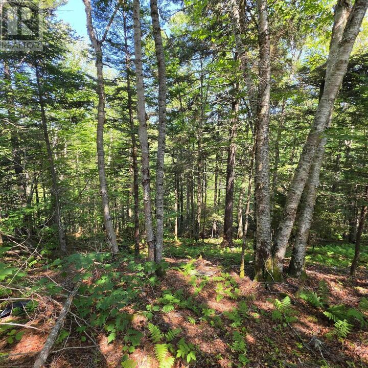 Property Photo:  72 North Greville Road  NS B0M 1S0 