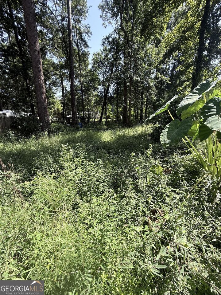 Property Photo: 409 Dogwood Lane GA 31320