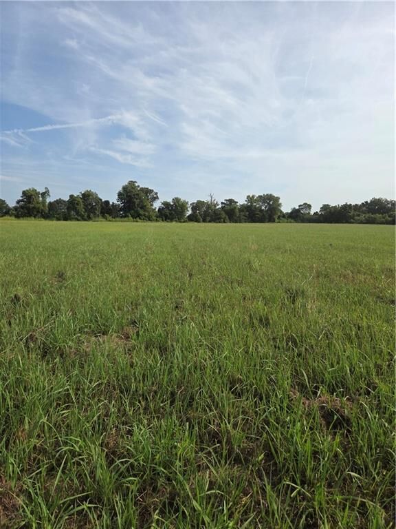 Property Photo: Tbd Highway 494 Highway LA 71456