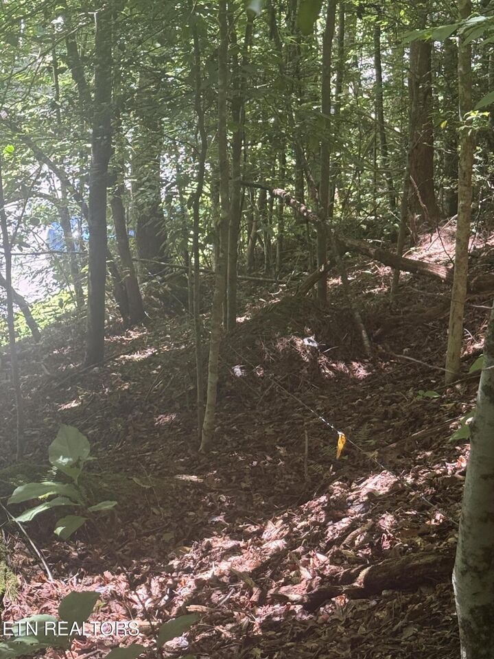 Property Photo: 0 Suttons Rd TN 37876