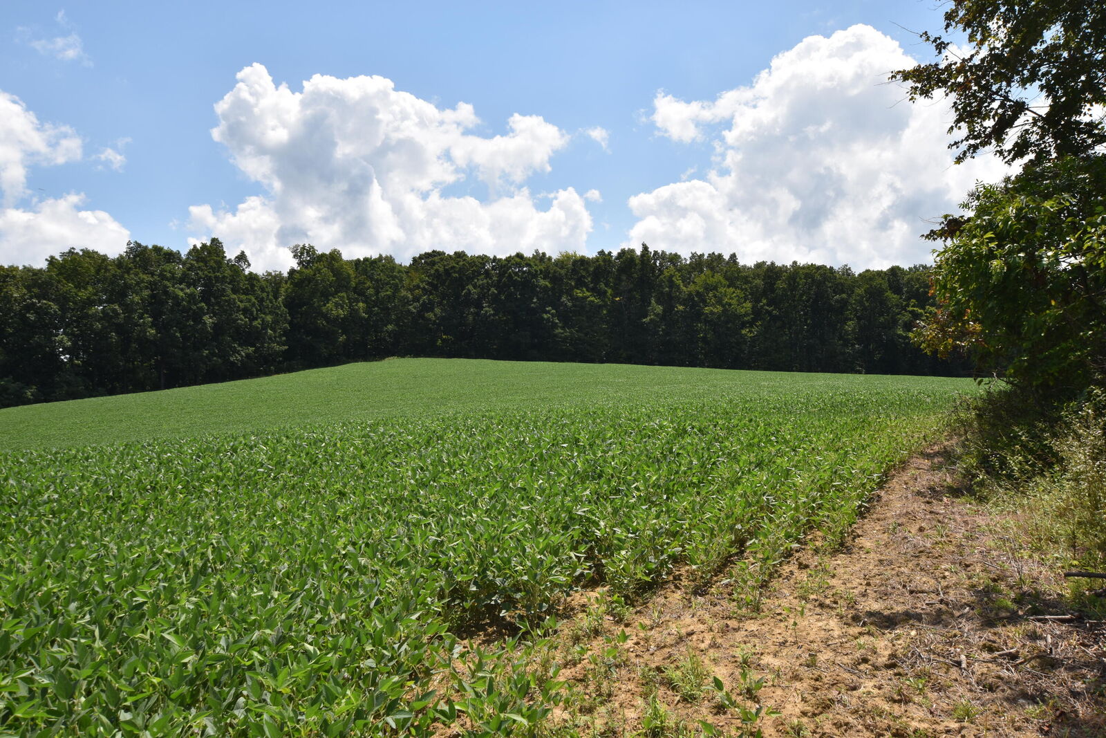 Property Photo: 0 Beechy Creek Road 0 KY 41093