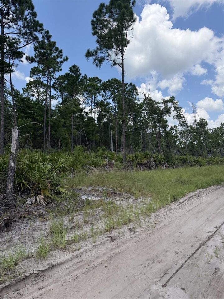 Property Photo:  00 Ridgehaven Avenue  FL 32174 