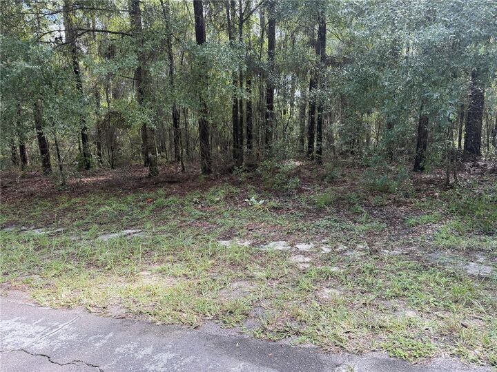 Property Photo:  10061 N Biscayne Drive  FL 34434 