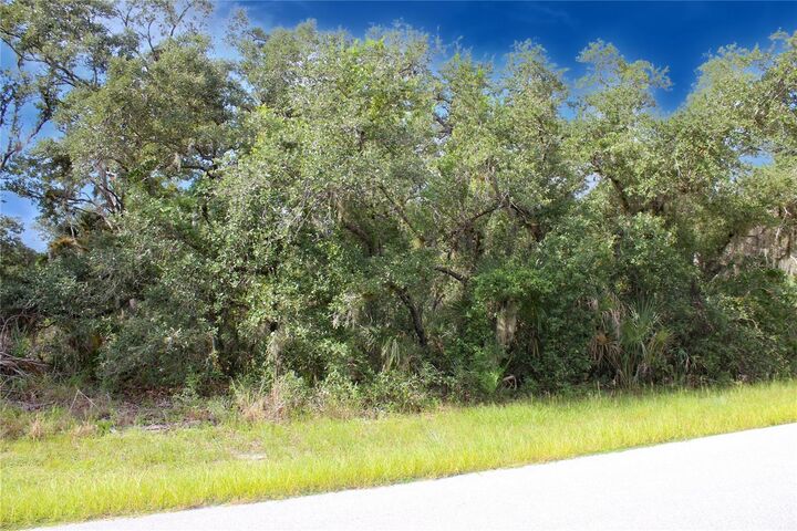 Property Photo:  14441 Mc Clellan Avenue  FL 33953 