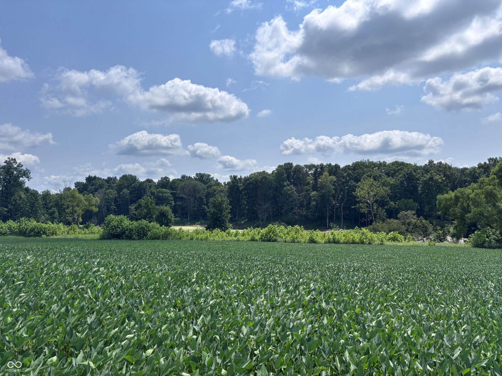 Property Photo: 4436 E County Road 1050 N IN 47850